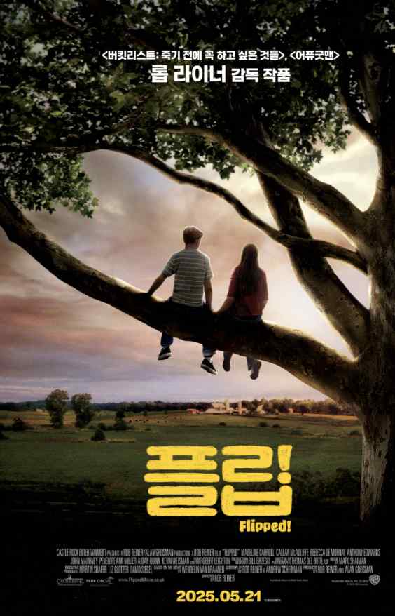 영화 플립 포스터